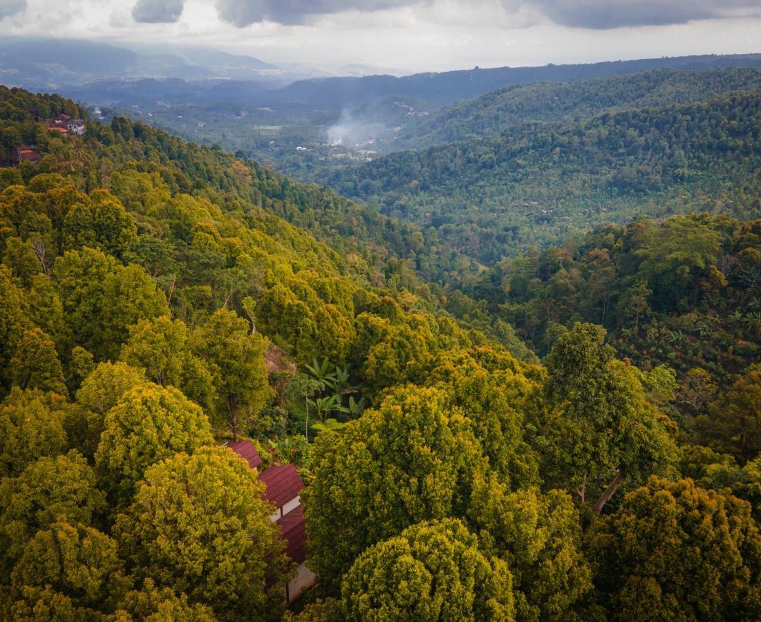 Vila Munduk Clove Exteriér fotografie